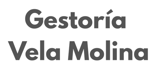 gestoria Vela Molina logo