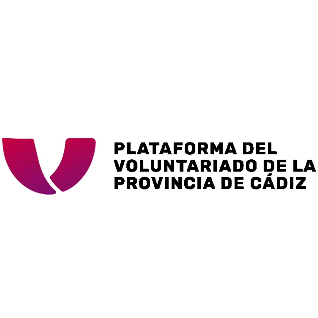 Proyecto nuevo (11)