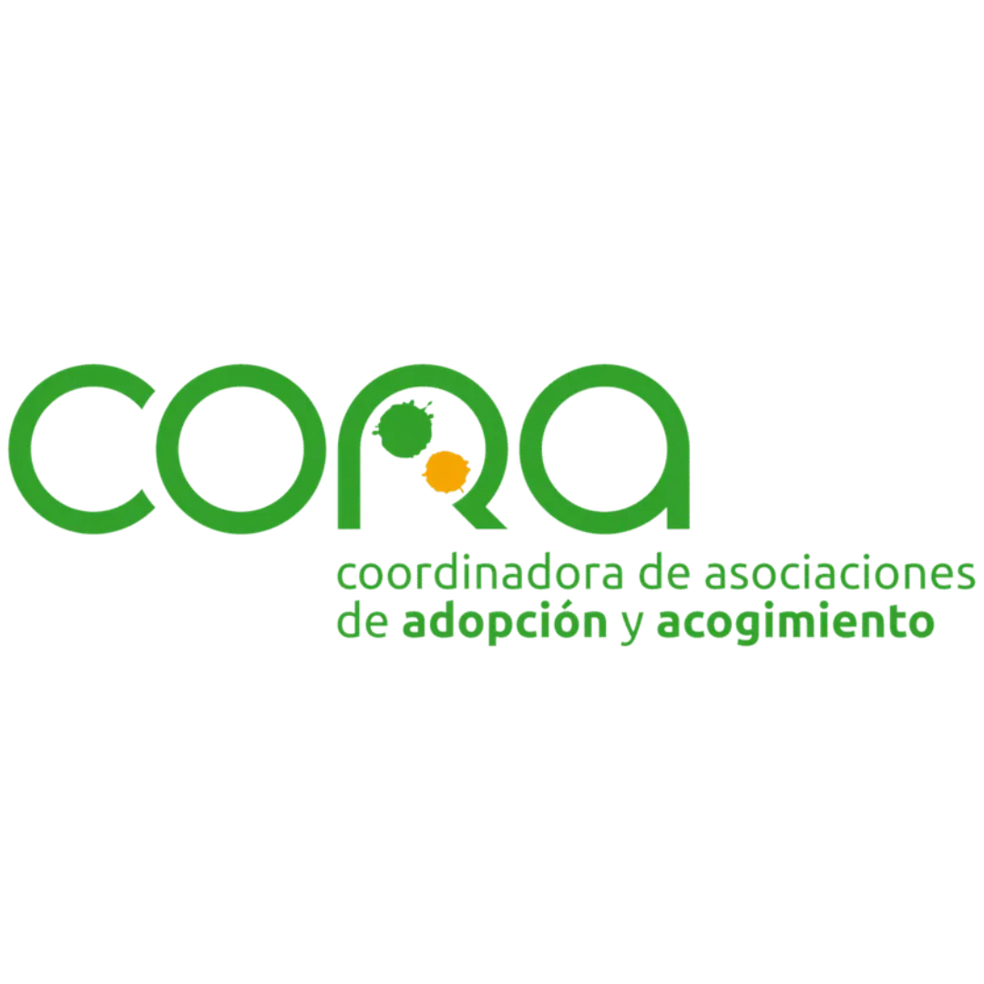 Proyecto nuevo (9)